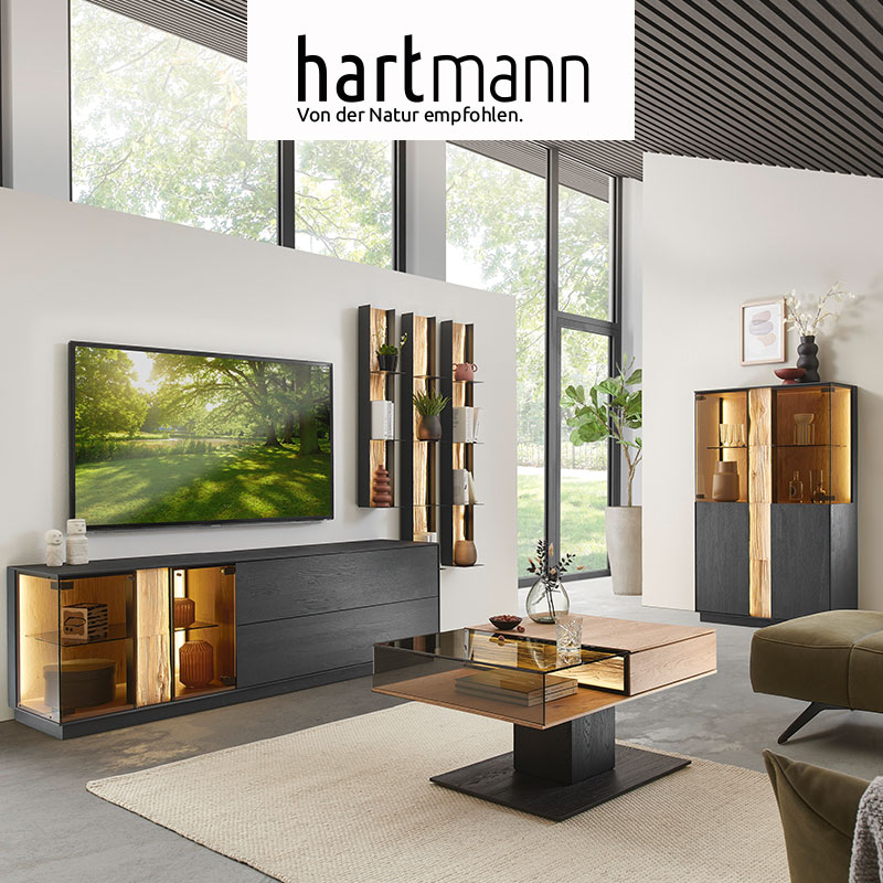 Hartmann Möbel - Möbelserie KILVA Hartmann KILVA - Massivholzmöbel aus Kernesche anthrazit kombiniert mit hellem Spaltholz. Ambientebild zeigt dunkles Lowboard mit Glastür, darüber hängend drei Metallregale mit edler Spaltholzrückwand, rechts passendes Highboard, davor Couchtisch.