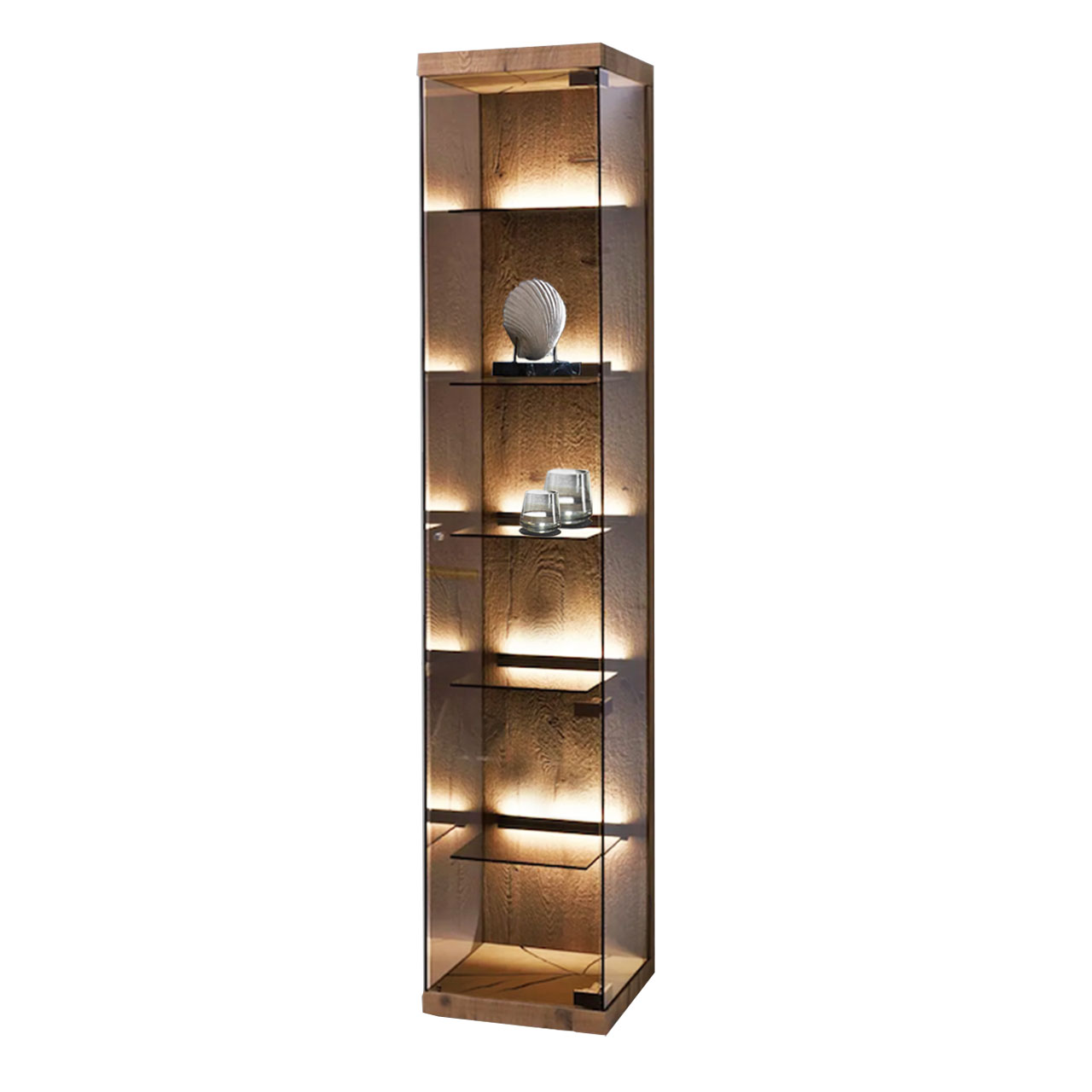 hartmann_BENJO_7220W-0039.re_standvitrine1 Moderne Hochvitrine aus edlem Glas mit Riffholz Rückwand