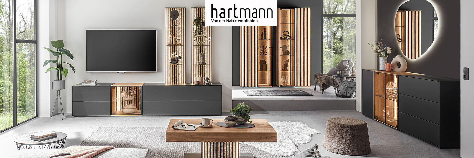 Hartmann SELINO - Massivholzmöbel aus Birke anthrazit kombiniert mit Kerneiche Natur und hellen Holzlamellen. Ambientebild zeigt dunkles Lowboard mit Glastür, darüber zwei Wandregale mit Glasböden und Lamellenrückwand, rechts passendes Highboard.