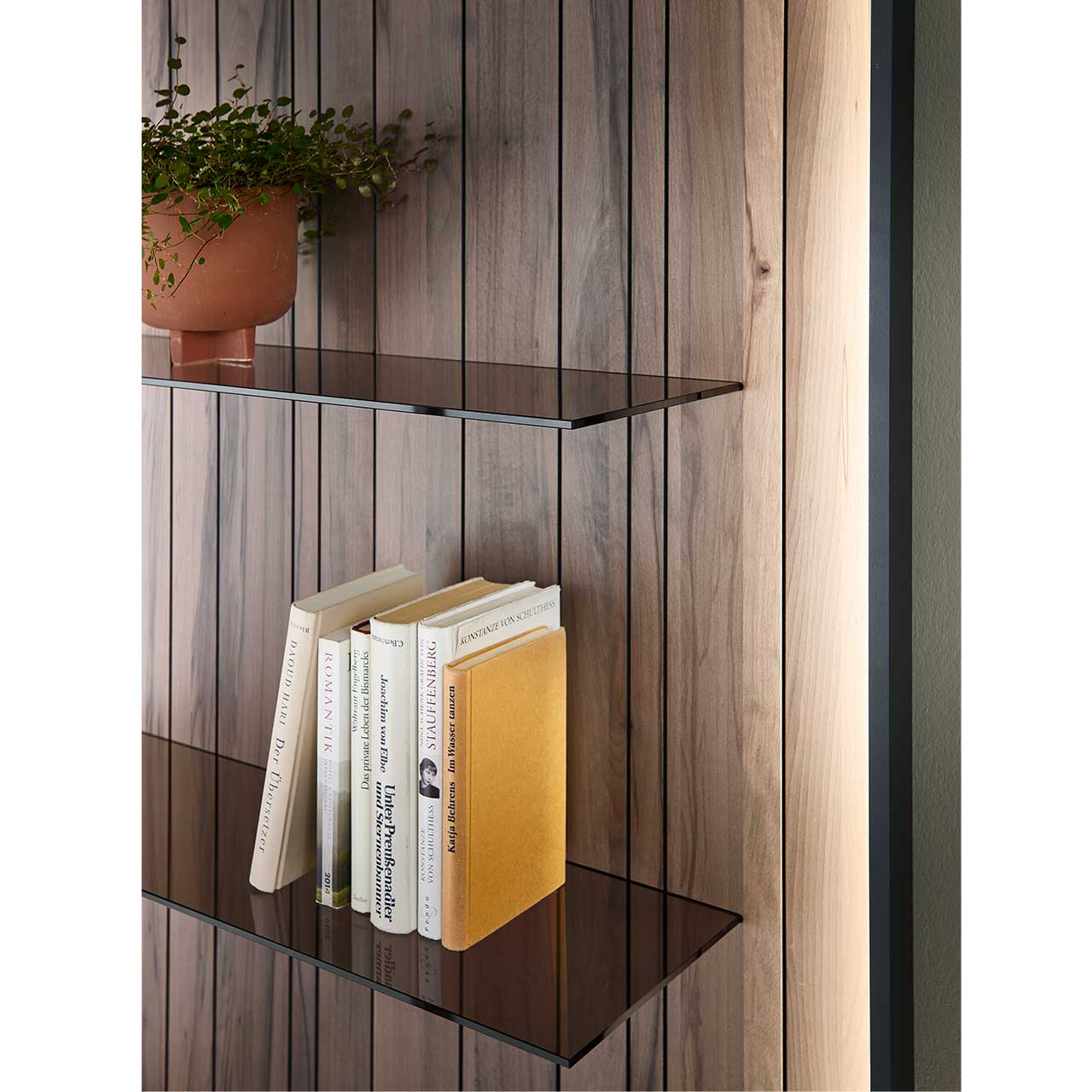 Detailaufnahme der Glasböden aus Parsolglas Bronze am AUDRA Wandpaneel Nr. 6071 bzw. 8071. Wandpaneel aus massiver dunkelbrauner Altholzbuche Uyaa mit edler Holzmaserung.