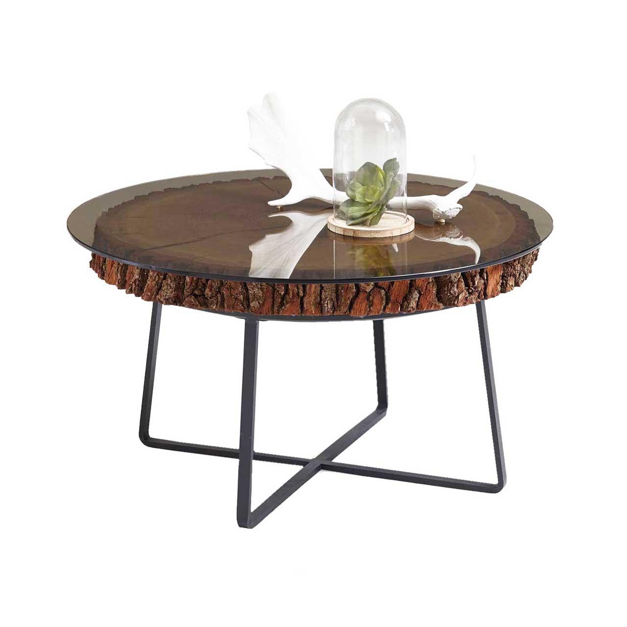Moderner Couchtisch mit runder Glasplatte auf echter Baumscheibe mit filigranem Metallgestell in Anthrazit.