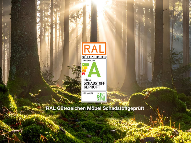 Hartmann Möbel - Kategorie Service - Teaser RAL-Gütezeichen Möbel Schadstoffgeprüft Teaser mit lichtdurchflutendem Wald und offiziellem RAL Gütezeichen „MöbelSchadstoffgeprüft“. Unter dem Gütezeichen Text in weißer Schrift: RAL Gütezeichen Möbel Schadstoffgeprüft.