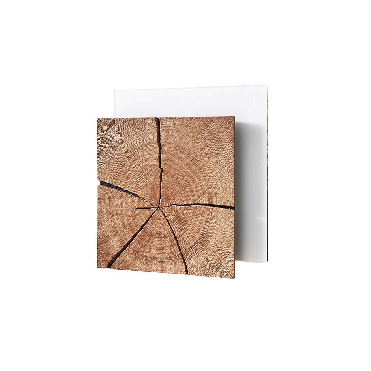Moderne, quadratische Wandleuchte mit Hirnholzfront in heller Kerneiche auf Mattglas weißer Platte. 