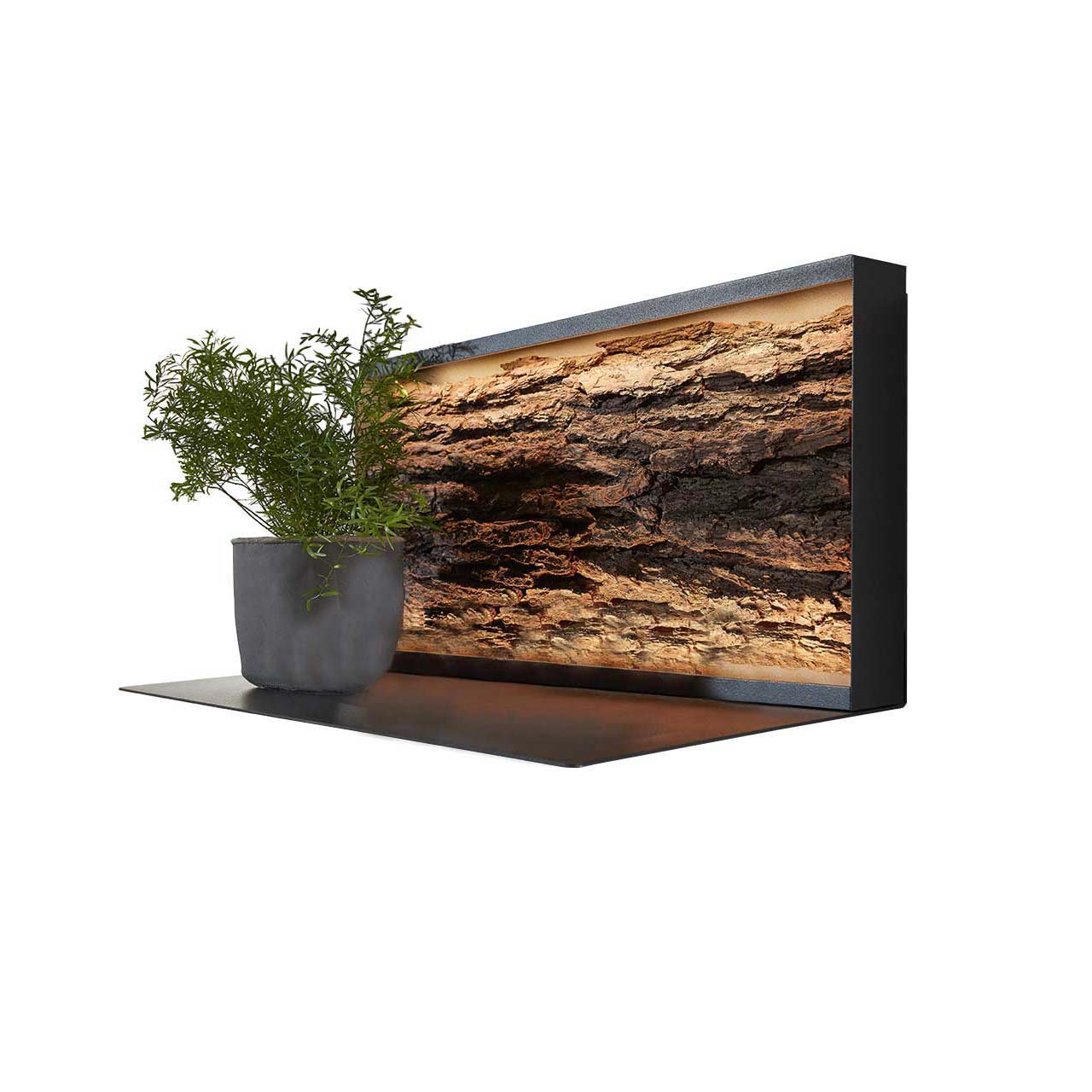 Hartmann SALVO Garderoben - Rindenregal 8550G-1059 - mit Baumrinde Kleines Hängeregal aus Metall anthrazit mit Ablageboden und beleuchteter Rindenrückwand.