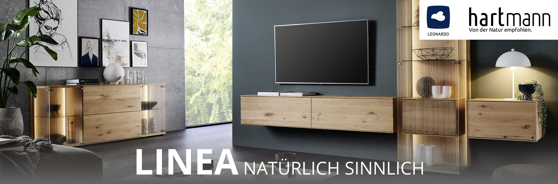 LINEA natürlich und sinnlich: Moderne Wohnzimmermöbel aus massiver Kerneiche Natur kombiniert mit satiniertem Glas. Ambientebild zeigt ein Hängelowboard, eine Standvitrine und Highboard mit Glastüren.
