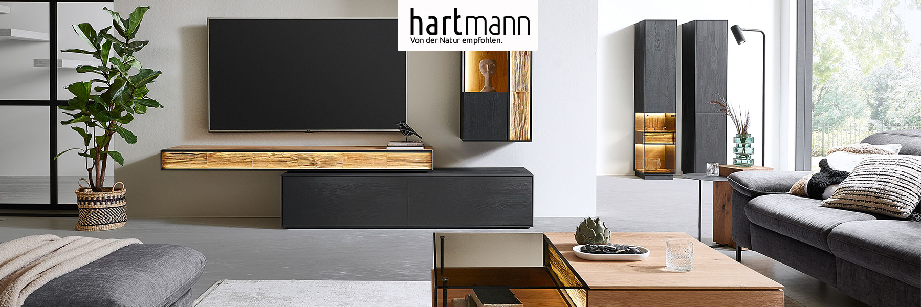 Hartmann KILVA - Massivholzmöbel aus Kernesche anthrazit kombiniert mit hellem Spaltholz. Ambientebild zeigt dunkles Hängelowboard, darüber TV Brücke mit Spaltholzfront, rechts passende Hängevitrine. Hinten rechts eine Standvitrine und Hochschrank.