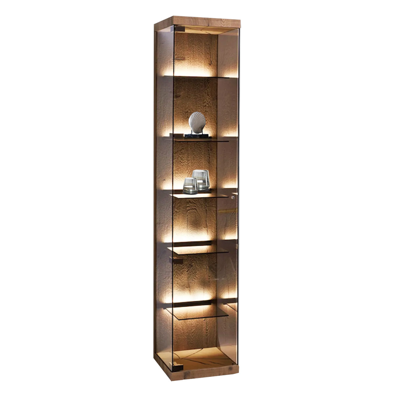 hartmann_BENJO_7220W-0038.li_standvitrine1 Moderne Hochvitrine aus edlem Glas mit Riffholz Rückwand